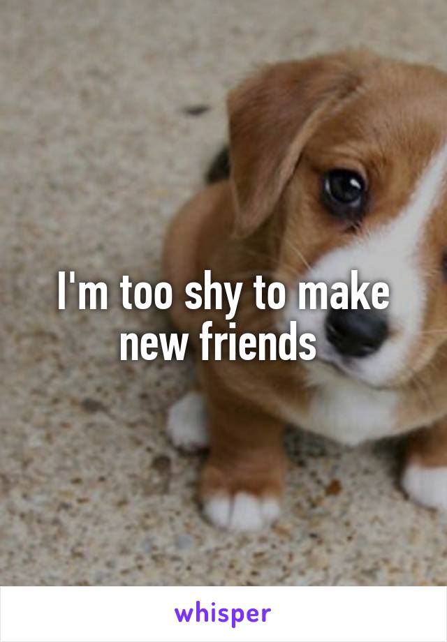 I'm too shy to make new friends 