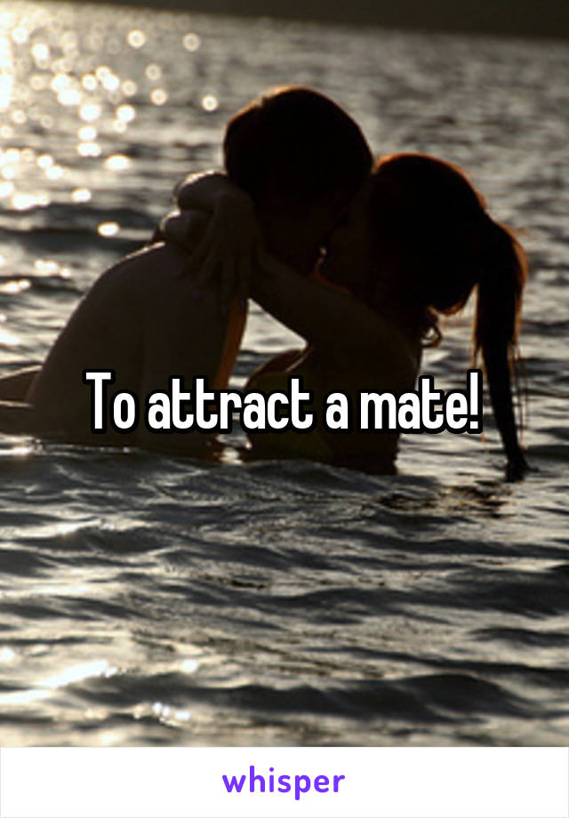 To attract a mate! 