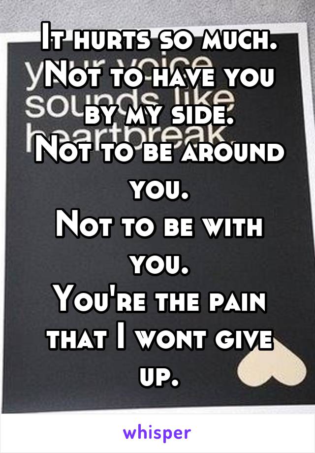 It hurts so much.
Not to have you by my side.
Not to be around you.
Not to be with you.
You're the pain that I wont give up.
