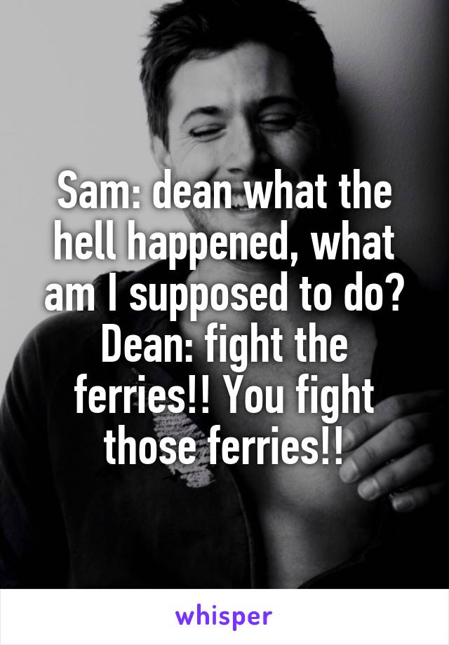 Sam: dean what the hell happened, what am I supposed to do?
Dean: fight the ferries!! You fight those ferries!!