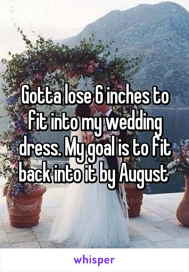 Gotta lose 6 inches to fit into my wedding dress. My goal is to fit back into it by August 