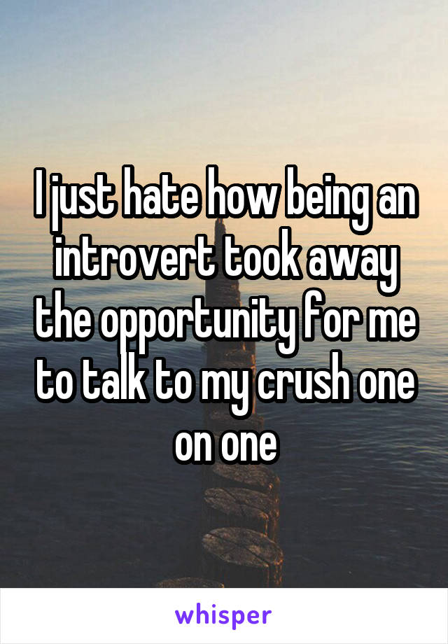 I just hate how being an introvert took away the opportunity for me to talk to my crush one on one