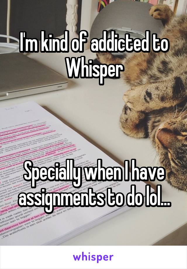 I'm kind of addicted to Whisper



Specially when I have assignments to do lol...
