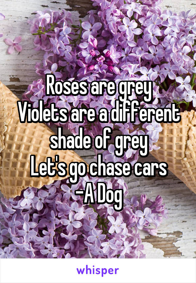 Roses are grey
Violets are a different shade of grey
Let's go chase cars
-A Dog