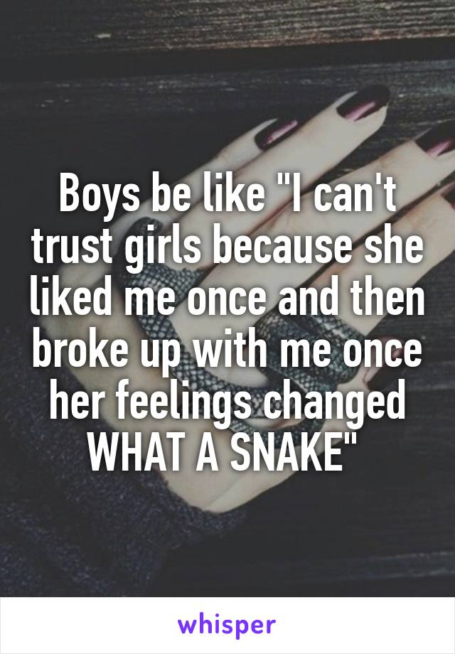 Boys be like "I can't trust girls because she liked me once and then broke up with me once her feelings changed WHAT A SNAKE" 