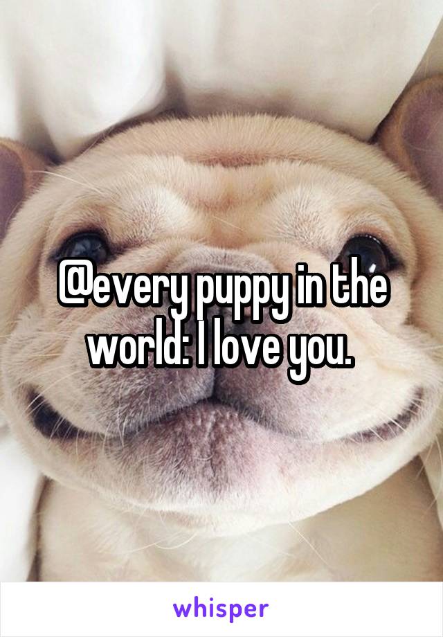 @every puppy in the world: I love you. 