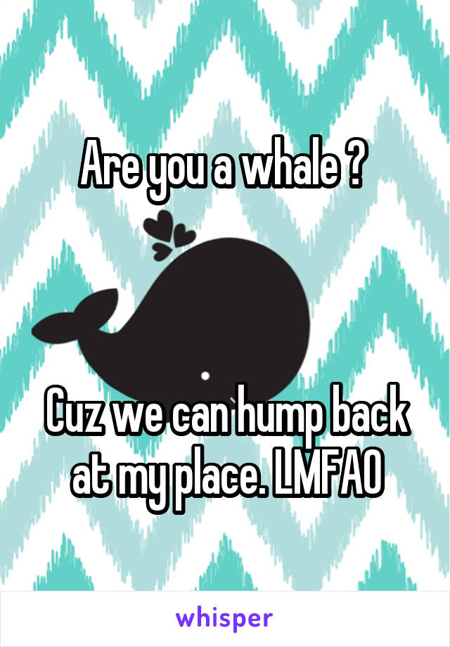 Are you a whale ? 



Cuz we can hump back at my place. LMFAO