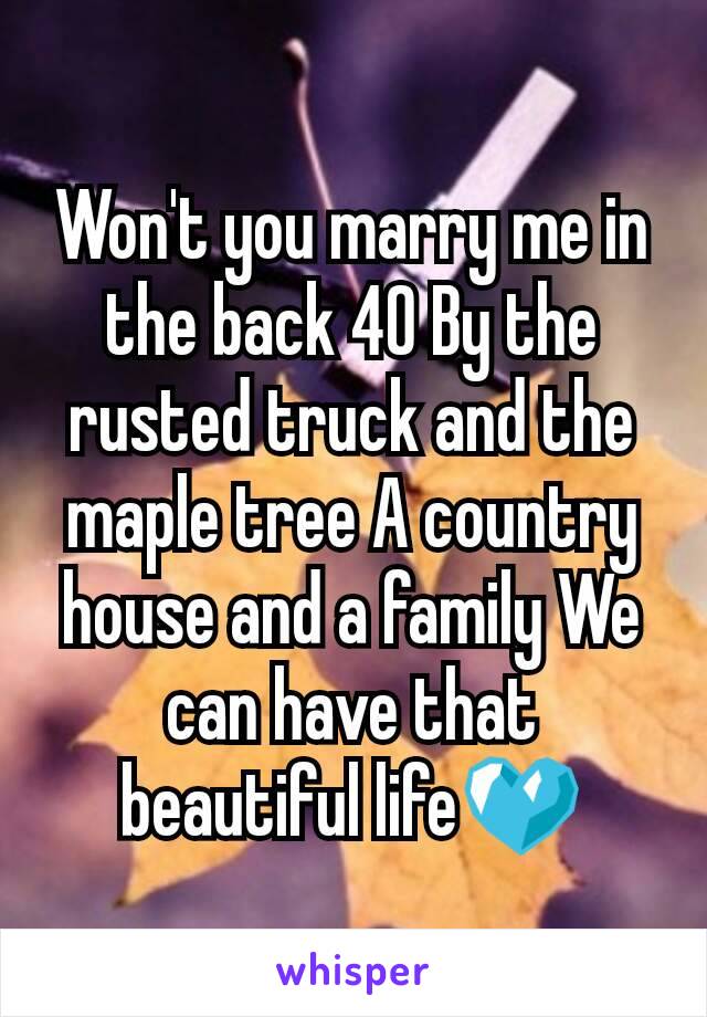 Won't you marry me in the back 40 By the rusted truck and the maple tree A country house and a family We can have that beautiful life💙