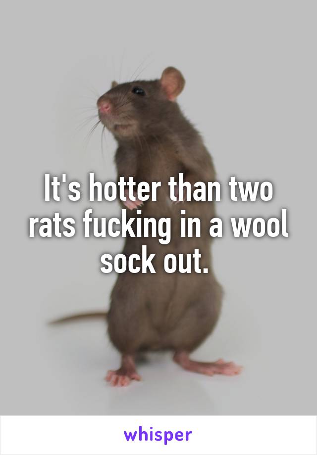 It's hotter than two rats fucking in a wool sock out. 