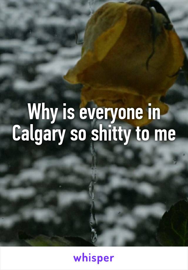 Why is everyone in Calgary so shitty to me 