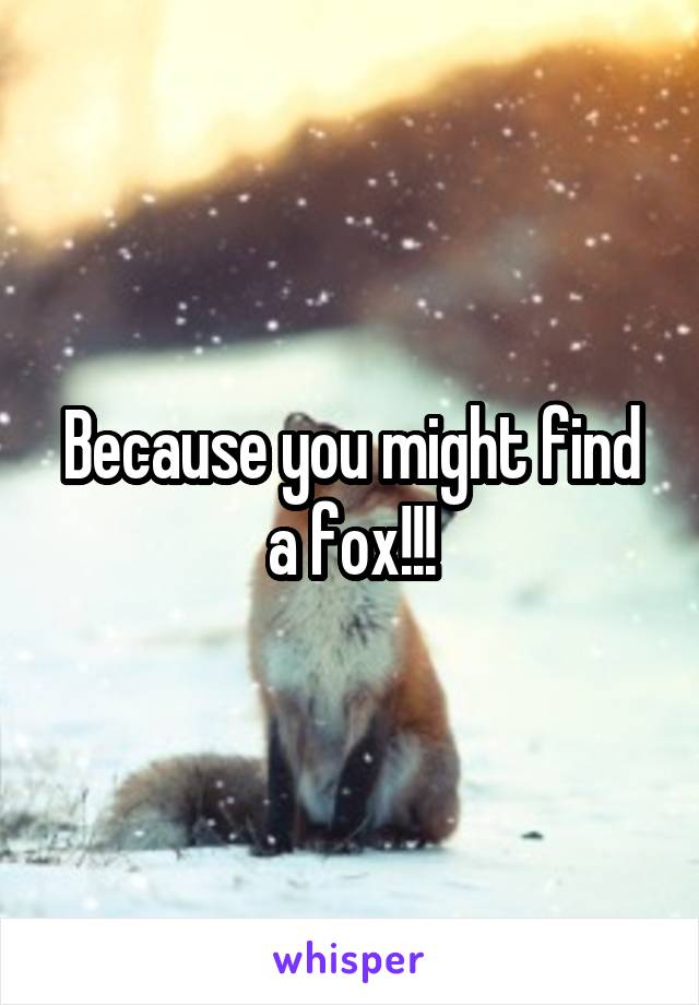 Because you might find a fox!!!