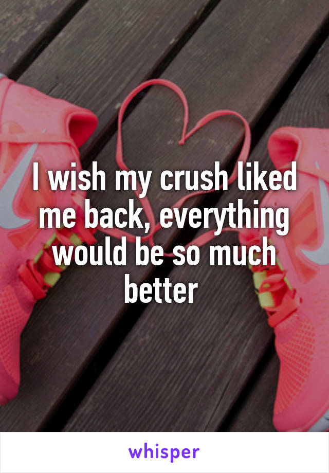 I wish my crush liked me back, everything would be so much better 