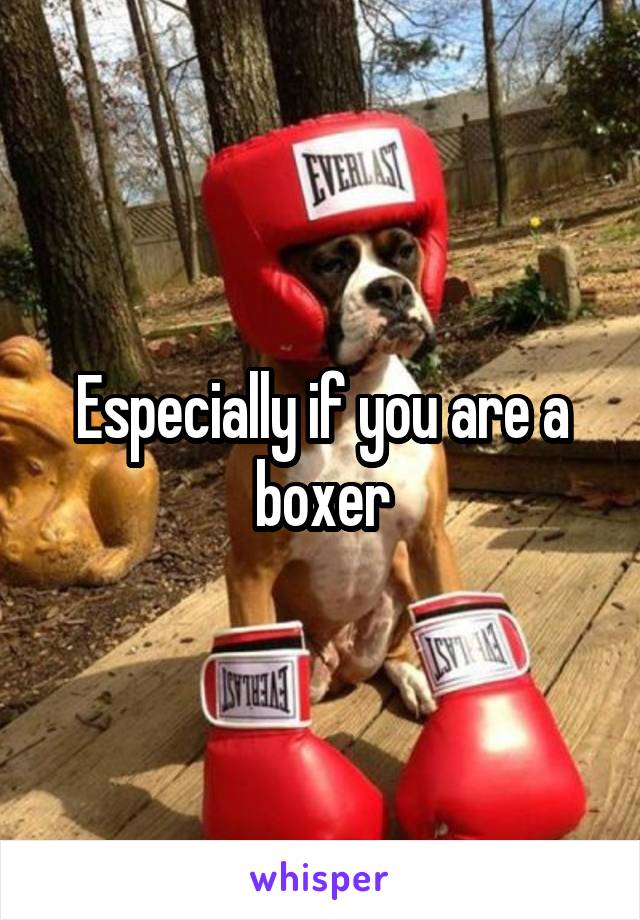 Especially if you are a boxer