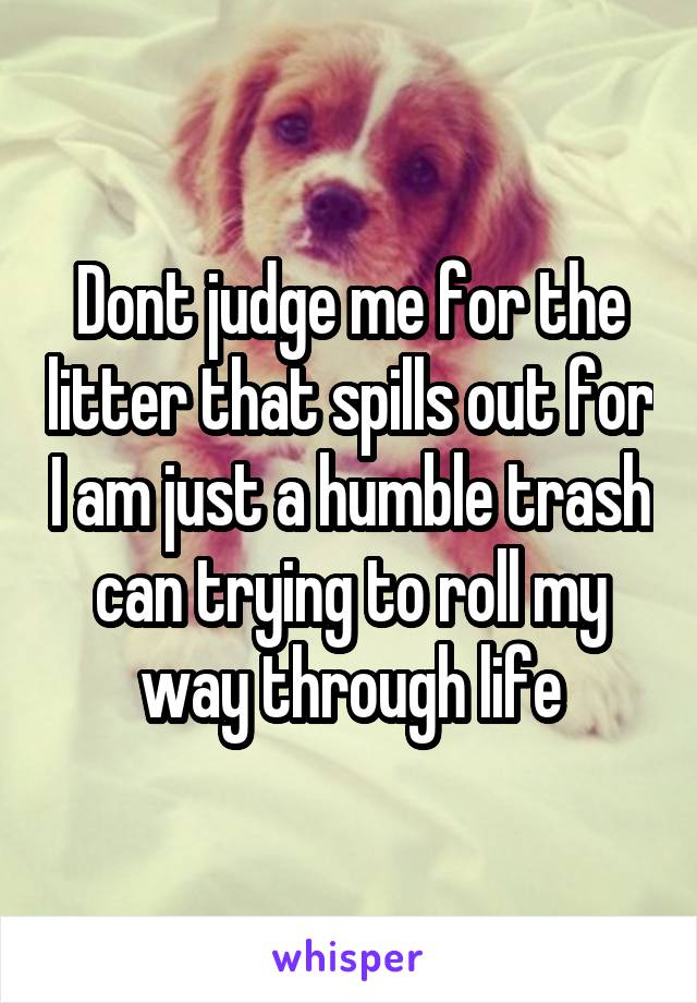 Dont judge me for the litter that spills out for I am just a humble trash can trying to roll my way through life