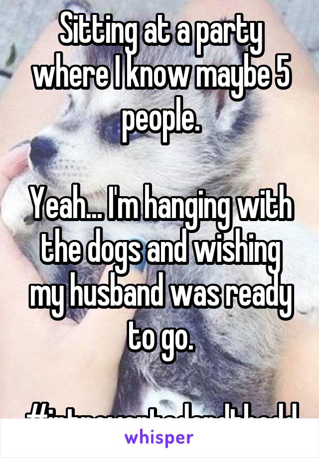 Sitting at a party where I know maybe 5 people.

Yeah... I'm hanging with the dogs and wishing my husband was ready to go.

#introvertedandthedd