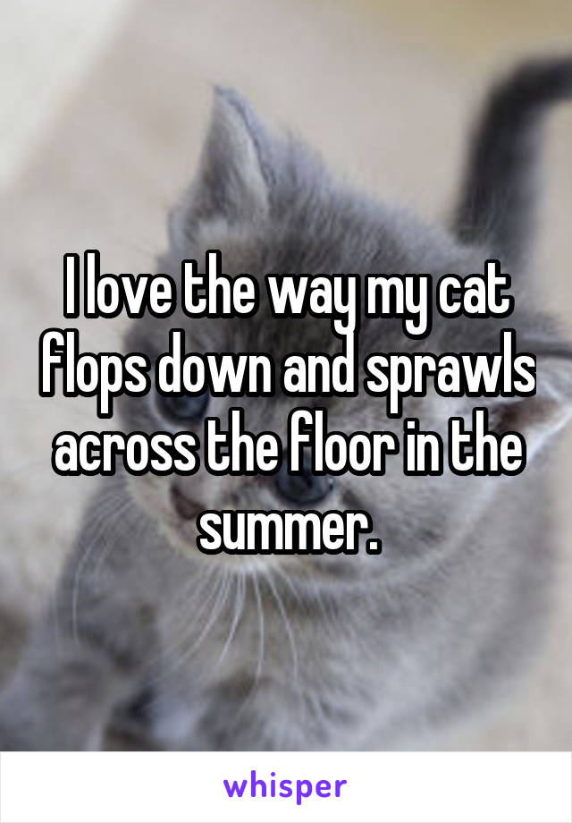 I love the way my cat flops down and sprawls across the floor in the summer.