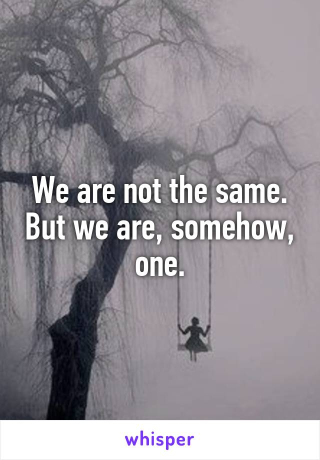 We are not the same. But we are, somehow, one.