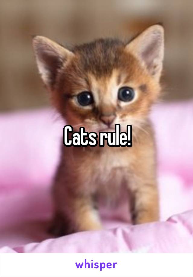 Cats rule!