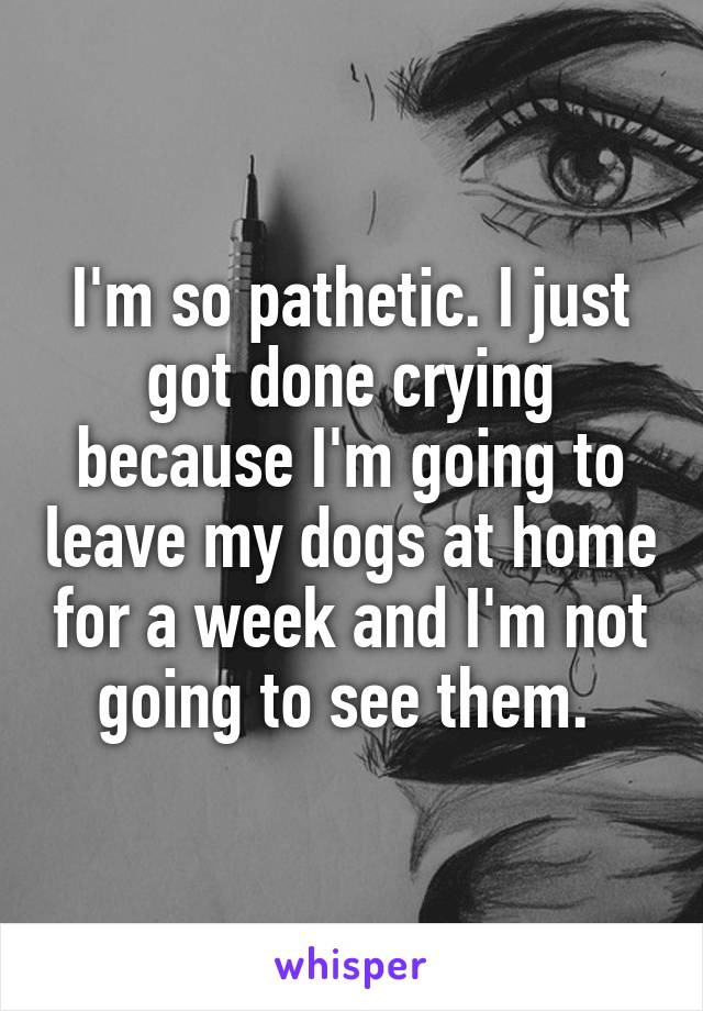 I'm so pathetic. I just got done crying because I'm going to leave my dogs at home for a week and I'm not going to see them. 