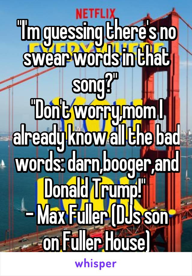 "I'm guessing there's no swear words in that song?" 
"Don't worry,mom I already know all the bad words: darn,booger,and Donald Trump!" 
- Max Fuller (DJs son on Fuller House)