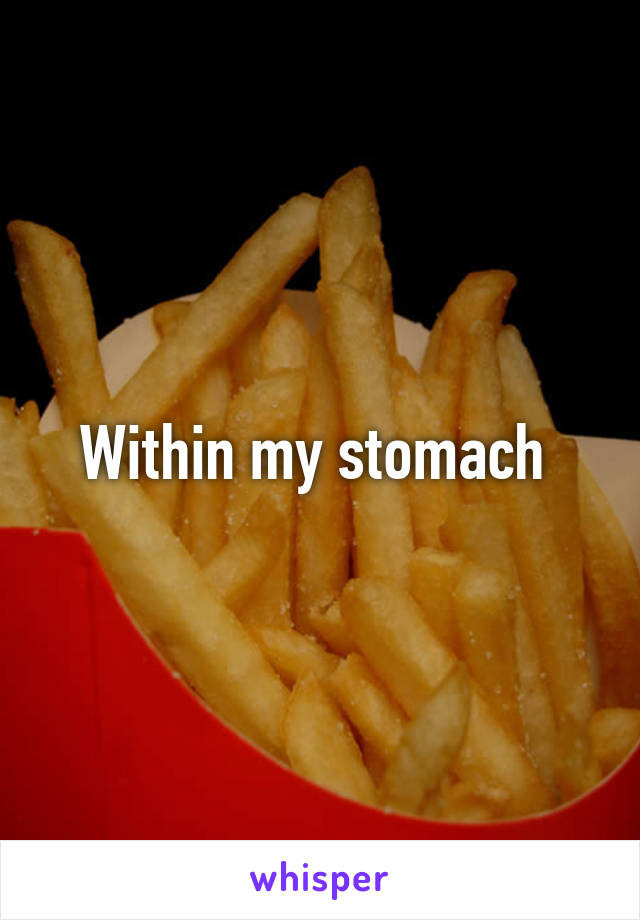 Within my stomach 