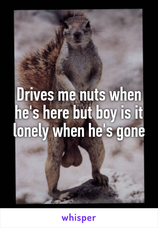 Drives me nuts when he's here but boy is it lonely when he's gone