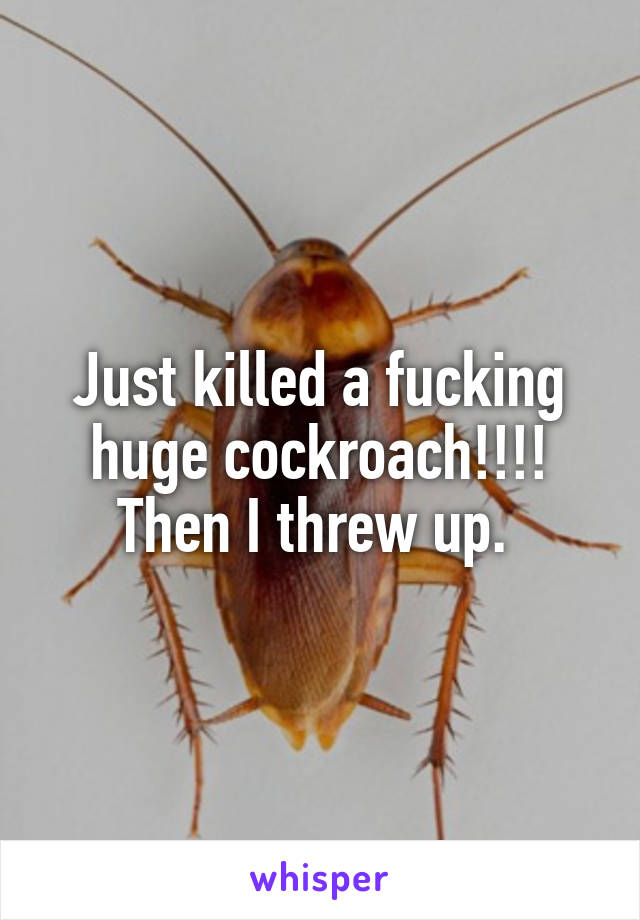 Just killed a fucking huge cockroach!!!! Then I threw up. 