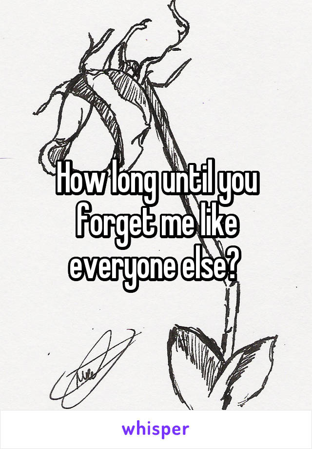 How long until you forget me like everyone else? 