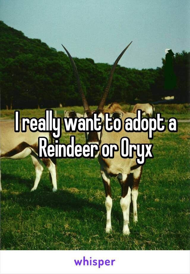 I really want to adopt a Reindeer or Oryx