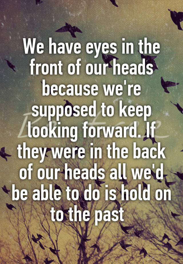 we-have-eyes-in-the-front-of-our-heads-because-we-re-supposed-to-keep