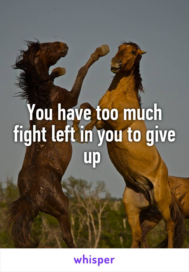 You have too much fight left in you to give up 