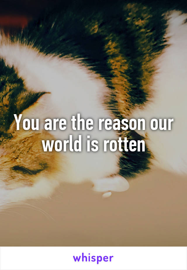 You are the reason our world is rotten