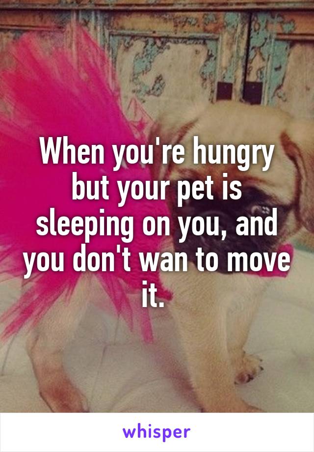 When you're hungry but your pet is sleeping on you, and you don't wan to move it. 