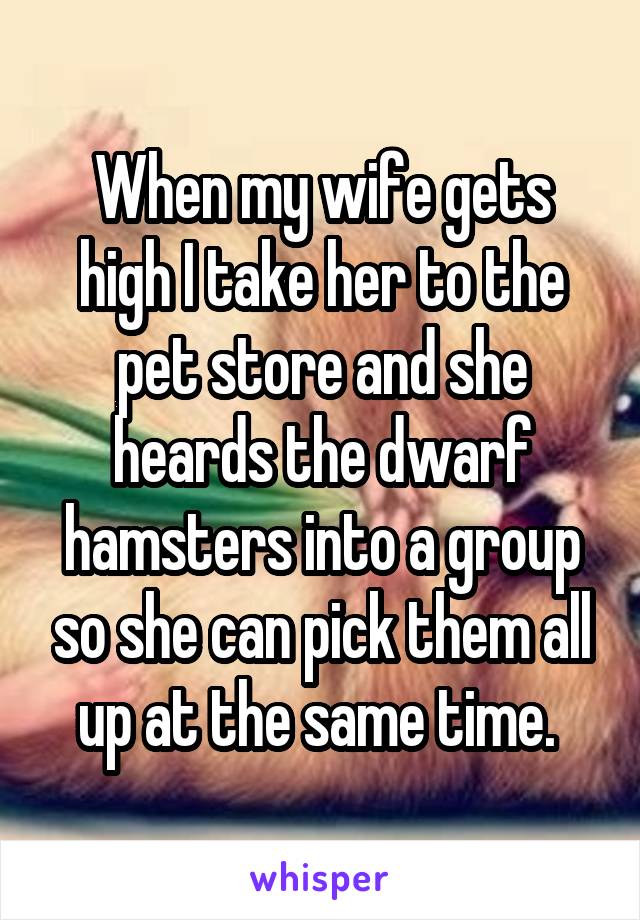 When my wife gets high I take her to the pet store and she heards the dwarf hamsters into a group so she can pick them all up at the same time. 