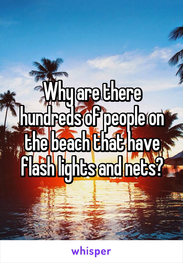 Why are there hundreds of people on the beach that have flash lights and nets?