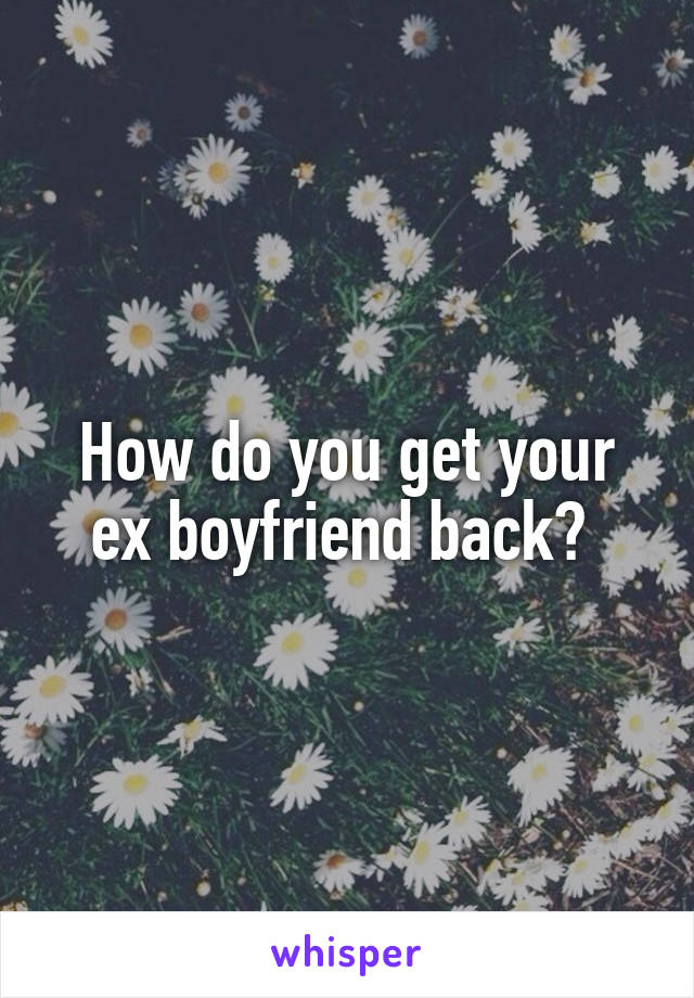 How do you get your ex boyfriend back? 