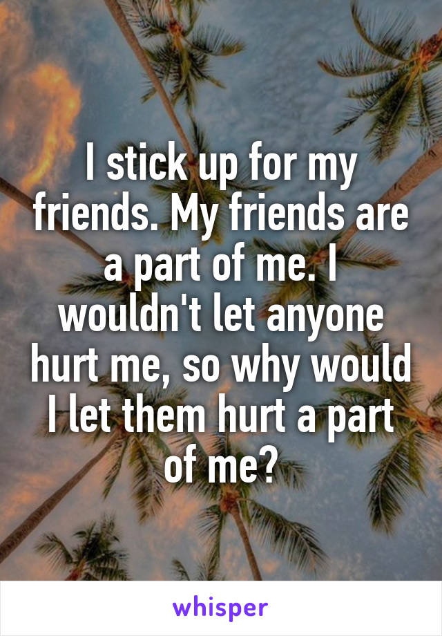 I stick up for my friends. My friends are a part of me. I wouldn't let anyone hurt me, so why would I let them hurt a part of me?