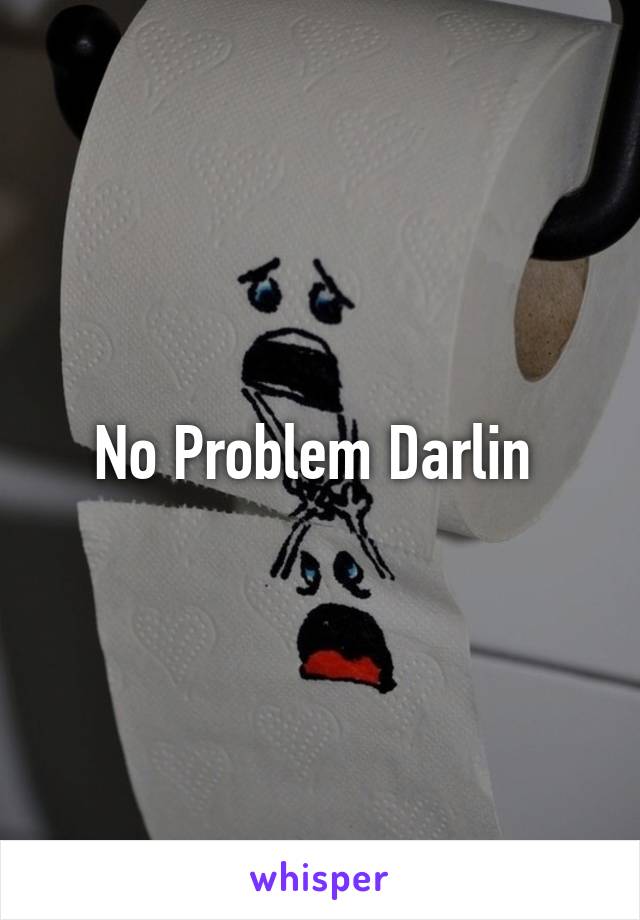 No Problem Darlin 