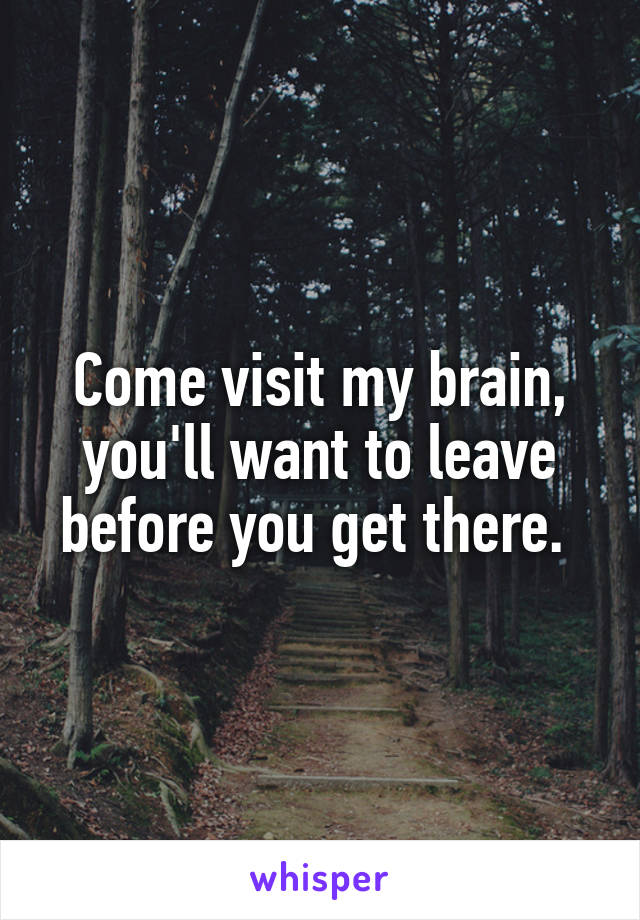 Come visit my brain, you'll want to leave before you get there. 