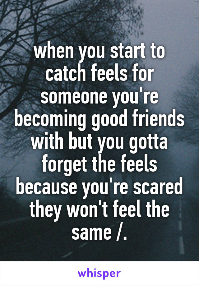 when you start to catch feels for someone you're becoming good friends with but you gotta forget the feels because you're scared they won't feel the same /.\