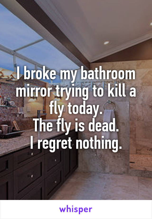 I broke my bathroom mirror trying to kill a fly today.
The fly is dead.
I regret nothing.