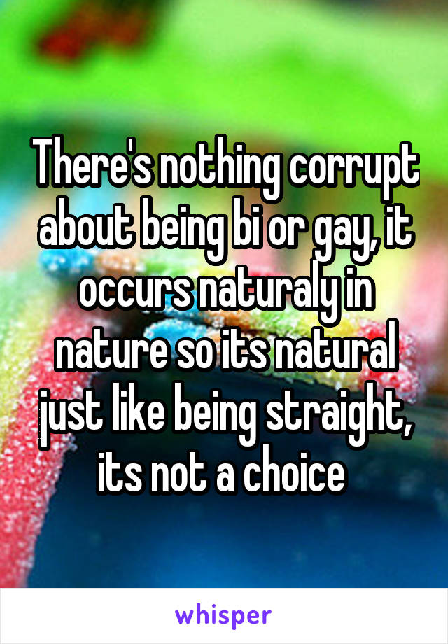 There's nothing corrupt about being bi or gay, it occurs naturaly in nature so its natural just like being straight, its not a choice 