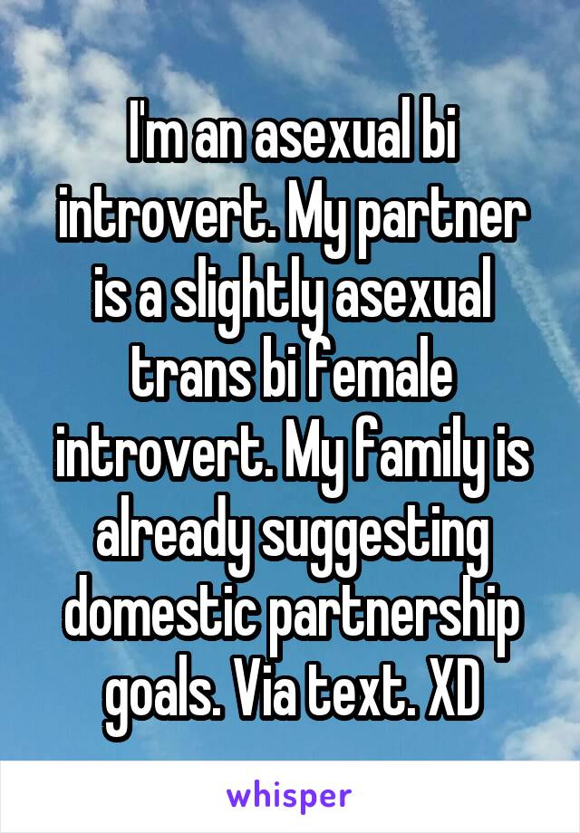 I'm an asexual bi introvert. My partner is a slightly asexual trans bi female introvert. My family is already suggesting domestic partnership goals. Via text. XD