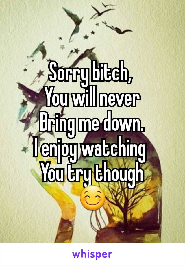 Sorry bitch, 
You will never
Bring me down.
I enjoy watching 
You try though
😊