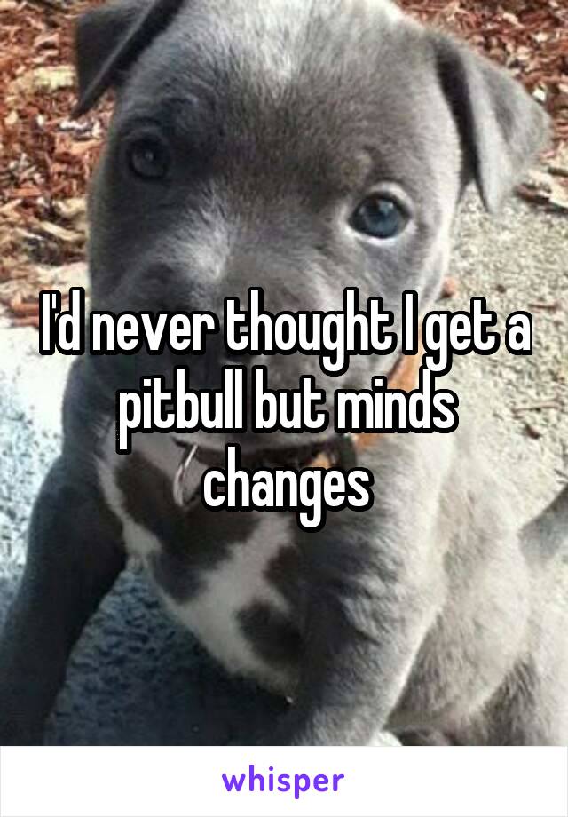 I'd never thought I get a pitbull but minds changes