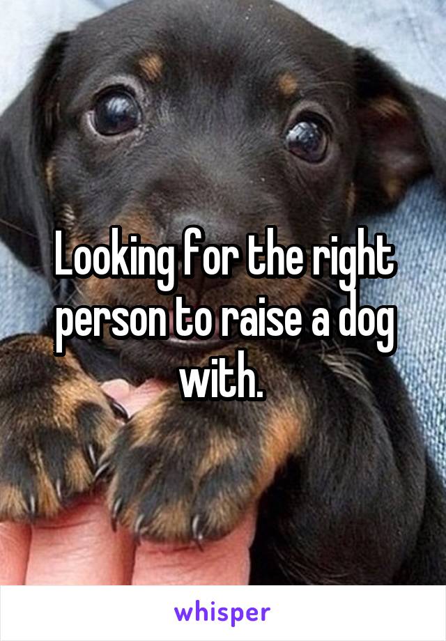 Looking for the right person to raise a dog with. 