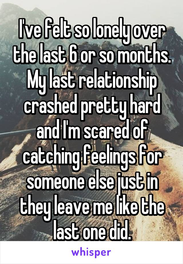 I've felt so lonely over the last 6 or so months. My last relationship crashed pretty hard and I'm scared of catching feelings for someone else just in they leave me like the last one did.