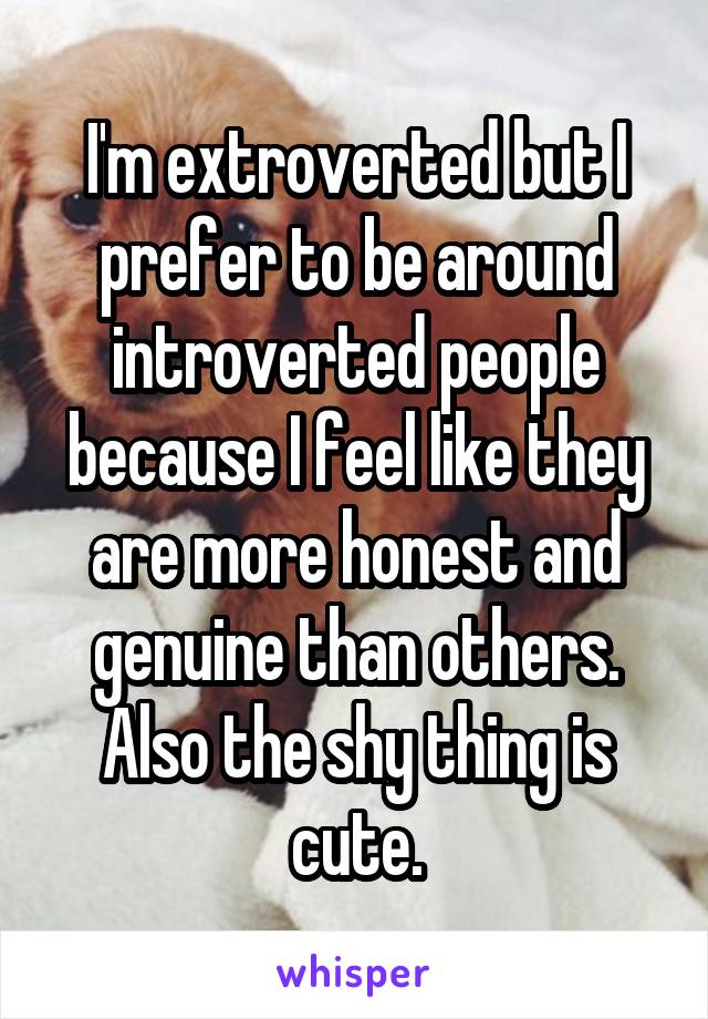 I'm extroverted but I prefer to be around introverted people because I feel like they are more honest and genuine than others. Also the shy thing is cute.