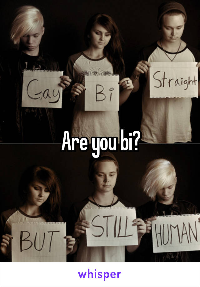 Are you bi?