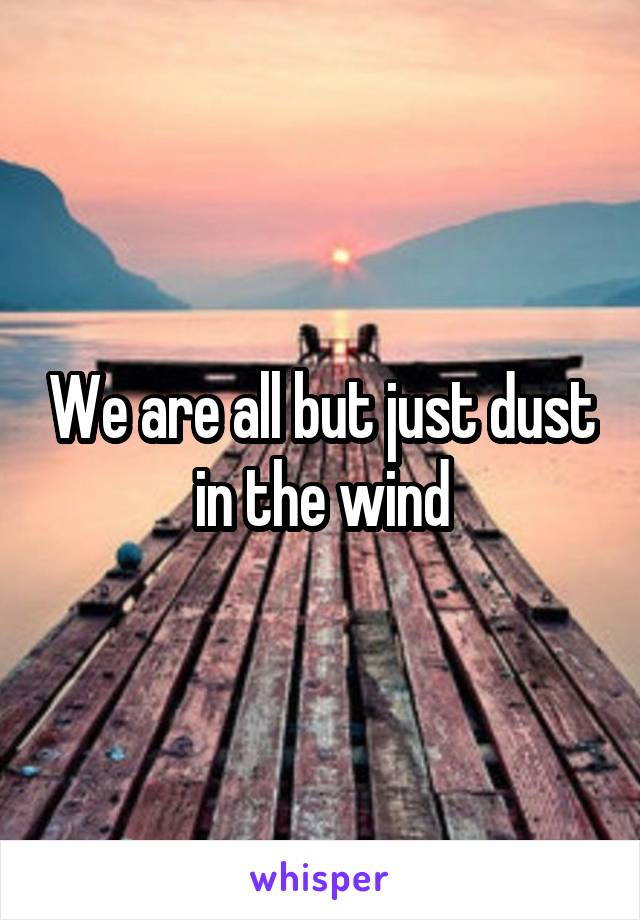 We are all but just dust in the wind